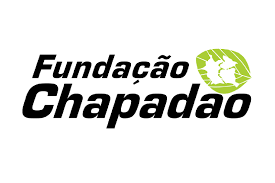 fundação chapadao