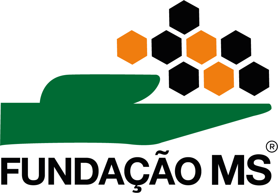 fundaçao ms