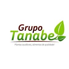tanabe